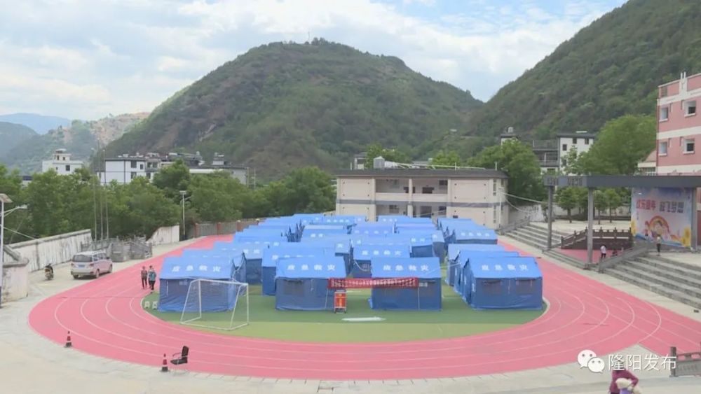 隆阳区日常温馨趣事概览