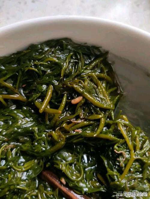 虾米最新资讯