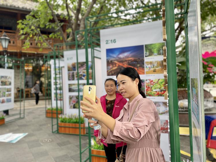 日报最新，小巷深处的独特风味美食报道