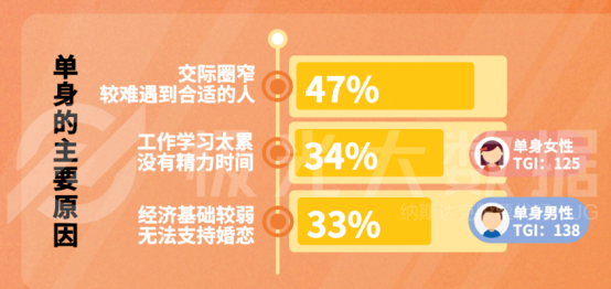 玛雅网新址，友情与陪伴的新起点