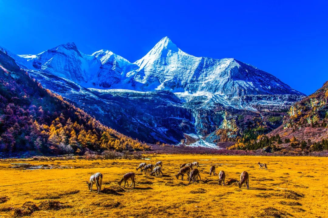 自然美景的旅行