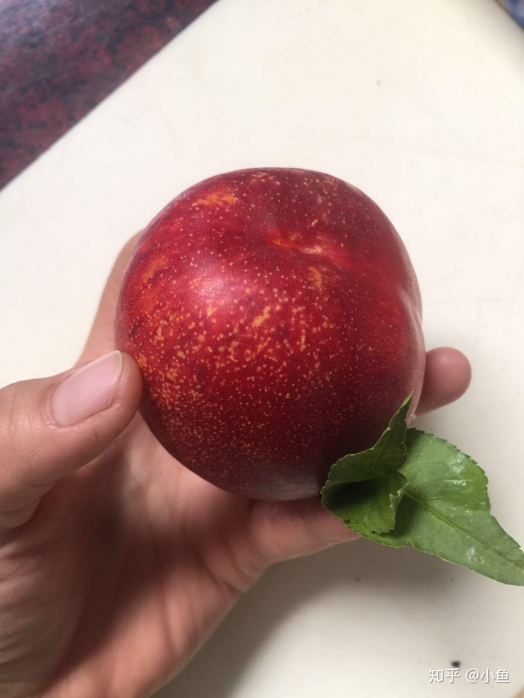 蒙阴蜜桃行情分析