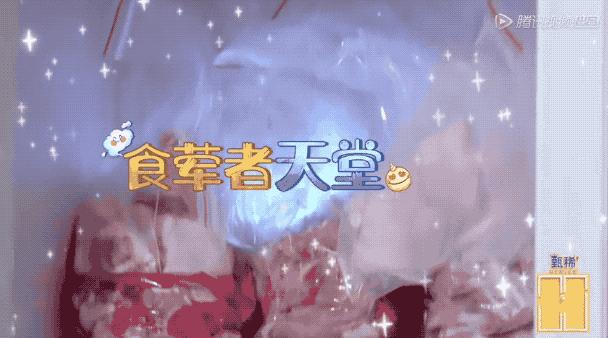 最新包子冷冻制作技术，与自然美景的旅行对话之旅