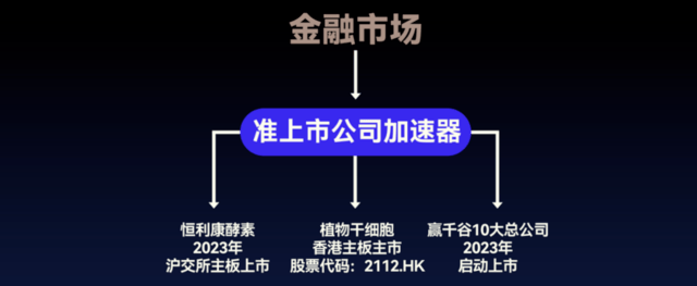 利源精制重组最新消息，科技重塑未来，引领新生活新篇章