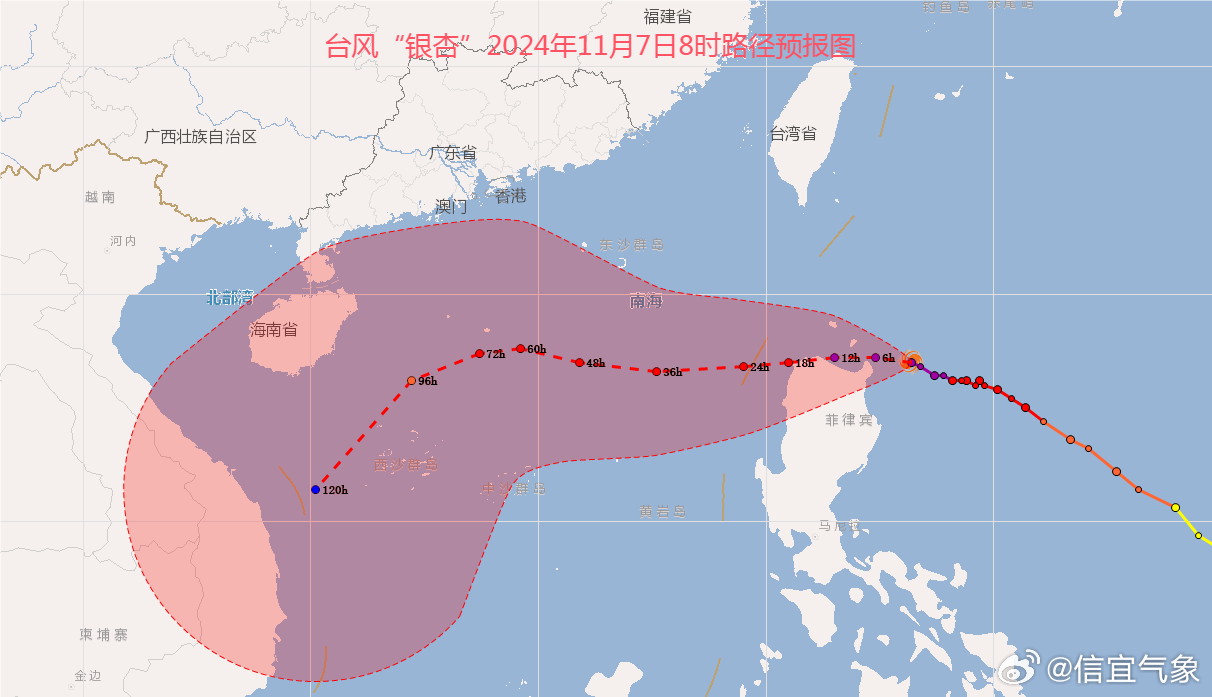 第五号台风最新动态，小巷深处的隐藏瑰宝