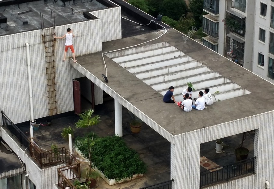 最新楼顶日常趣事概览