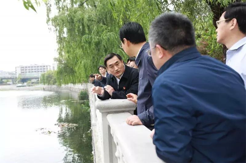 魅力展现与争议热议