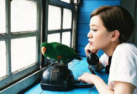 吴昕最新短发