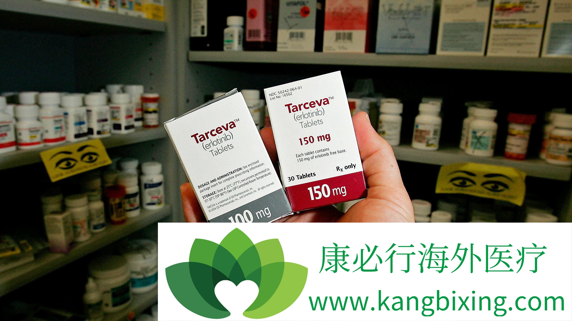 优劣对比与应用前景展望