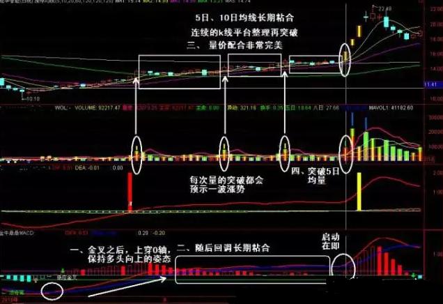 隐藏宝藏探寻之旅