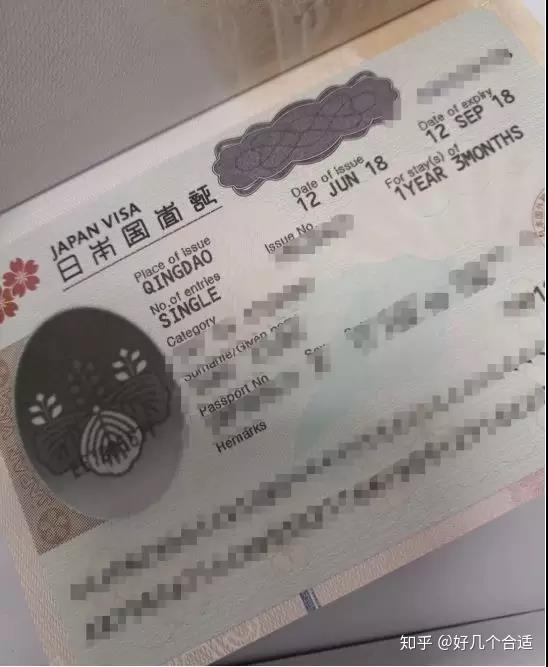 背景进展与地位概述