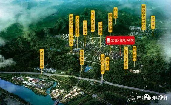 丽水最新楼盘