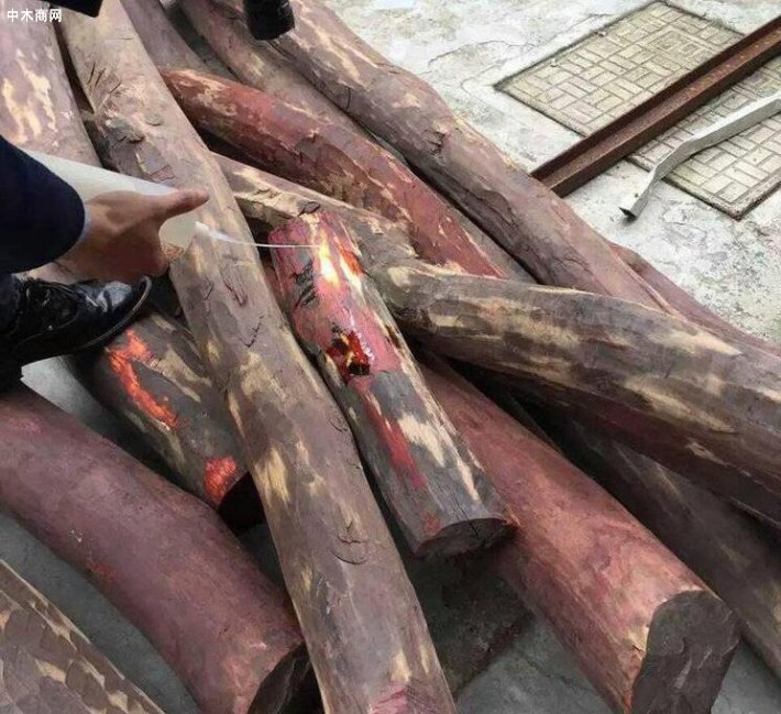 血檀最新价格