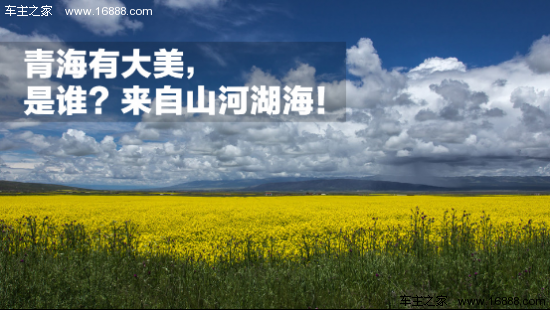 韦曲最新招聘