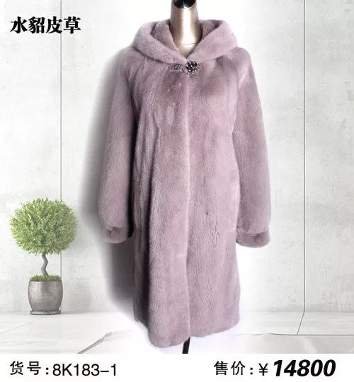 尚村水貂
