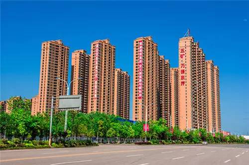 市场趋势预测/展望