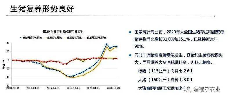 顺德房价走势最新消息，全面指南与步骤解析，深度解析未来趋势