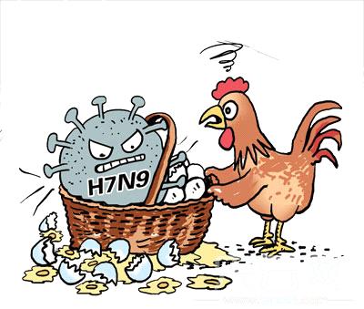 安徽禽流感最新动态与小巷美食奇遇探索