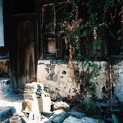 杨家洼情事，小巷深处的神秘小店最新章节