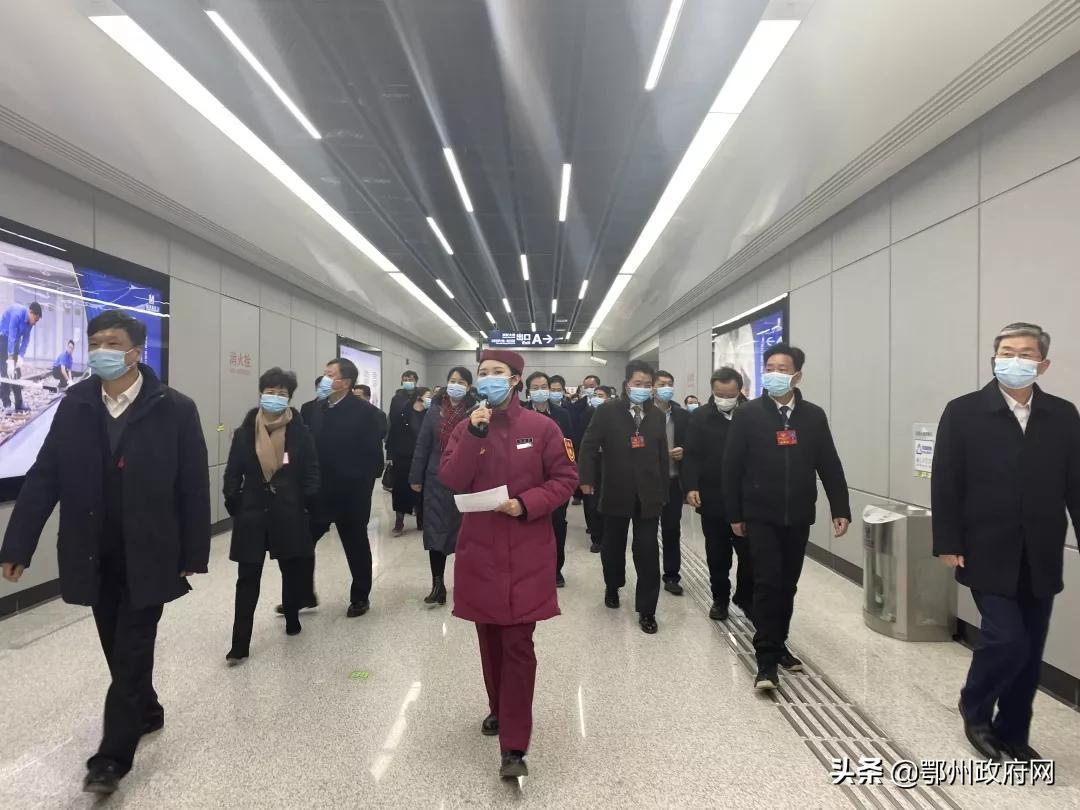 葛店发展动态全面解读，最新消息与全方位观察