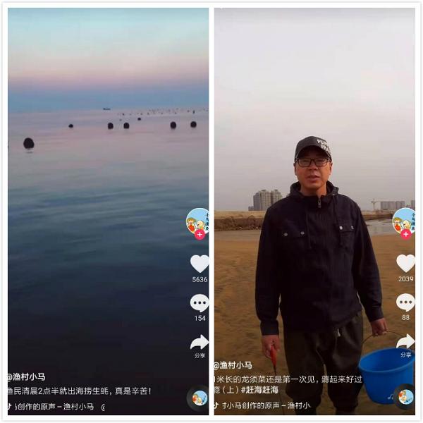 入门指南与教程