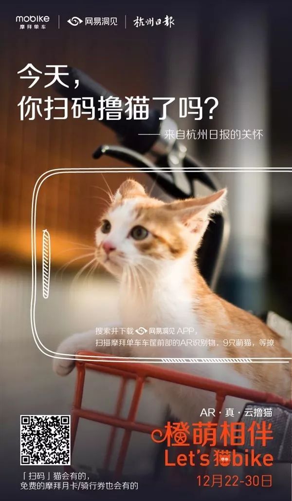 猫咪社区下载