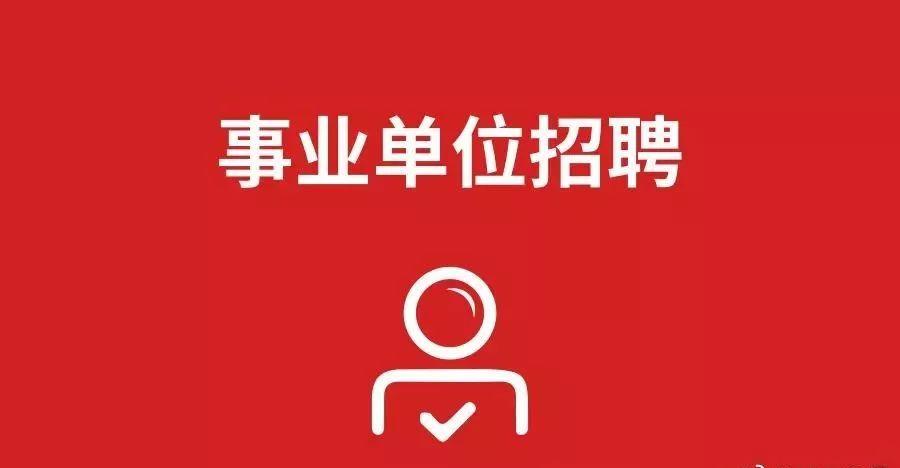 论述观点
