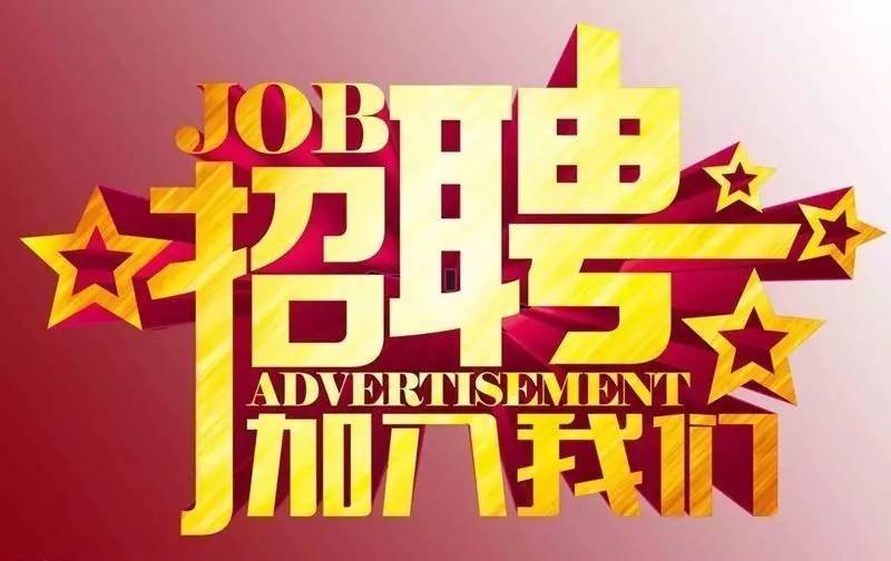 爱与陪伴的求职之旅