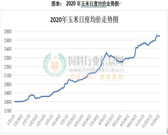 阜阳玉米价格最新行情详解及获取分析指南