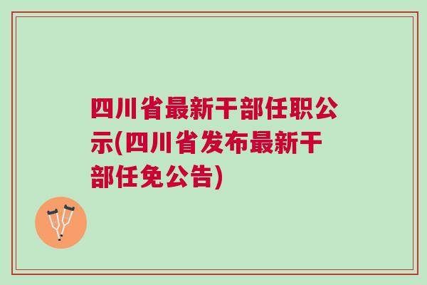 最新信息概览