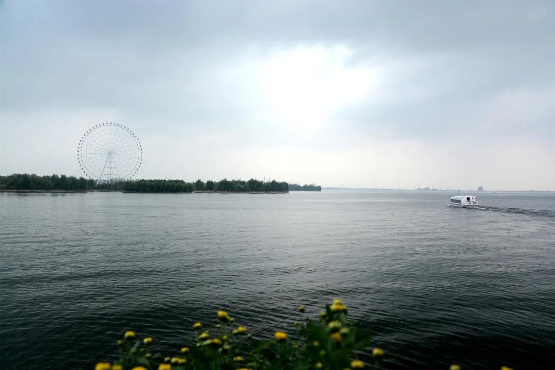 台风天鹅最新动态