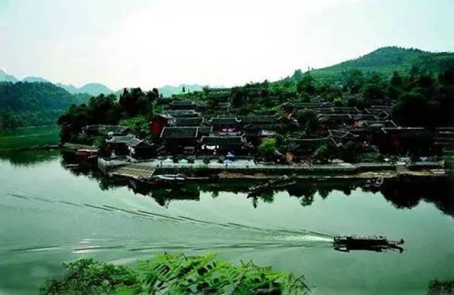 魏州网最新动态，拥抱自然，探寻内心桃花源