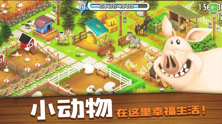 全新体验与特色
