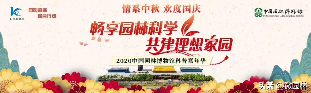 探索冒险之旅