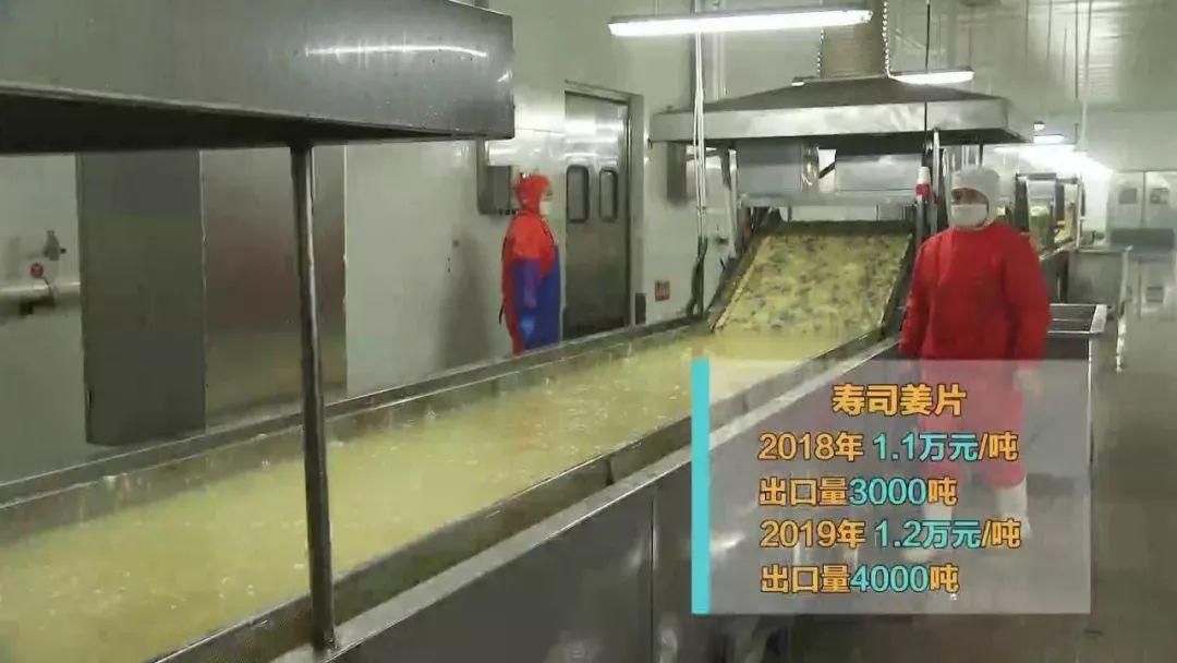 自然美景下的旅行探索