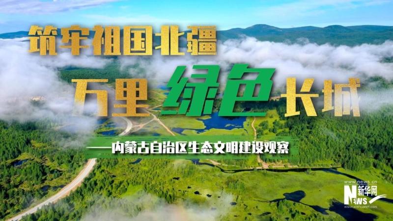 最新动态与消息