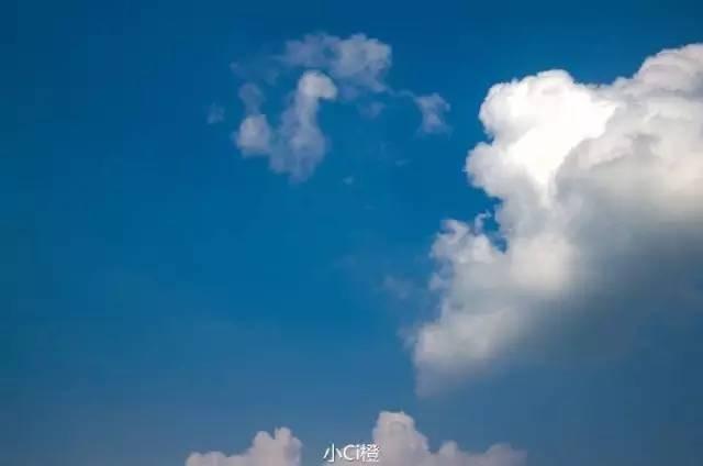 我独自生活最新一期，拥抱自然，探寻内心宁静之旅