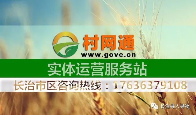 绍兴e网最新招聘信息