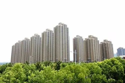 最新消息全解析指南
