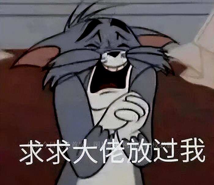 张翰最新消息，小巷深处的独特风味探索之旅