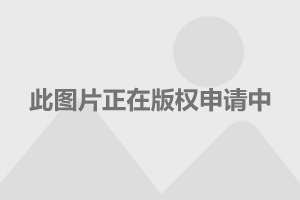网友热议