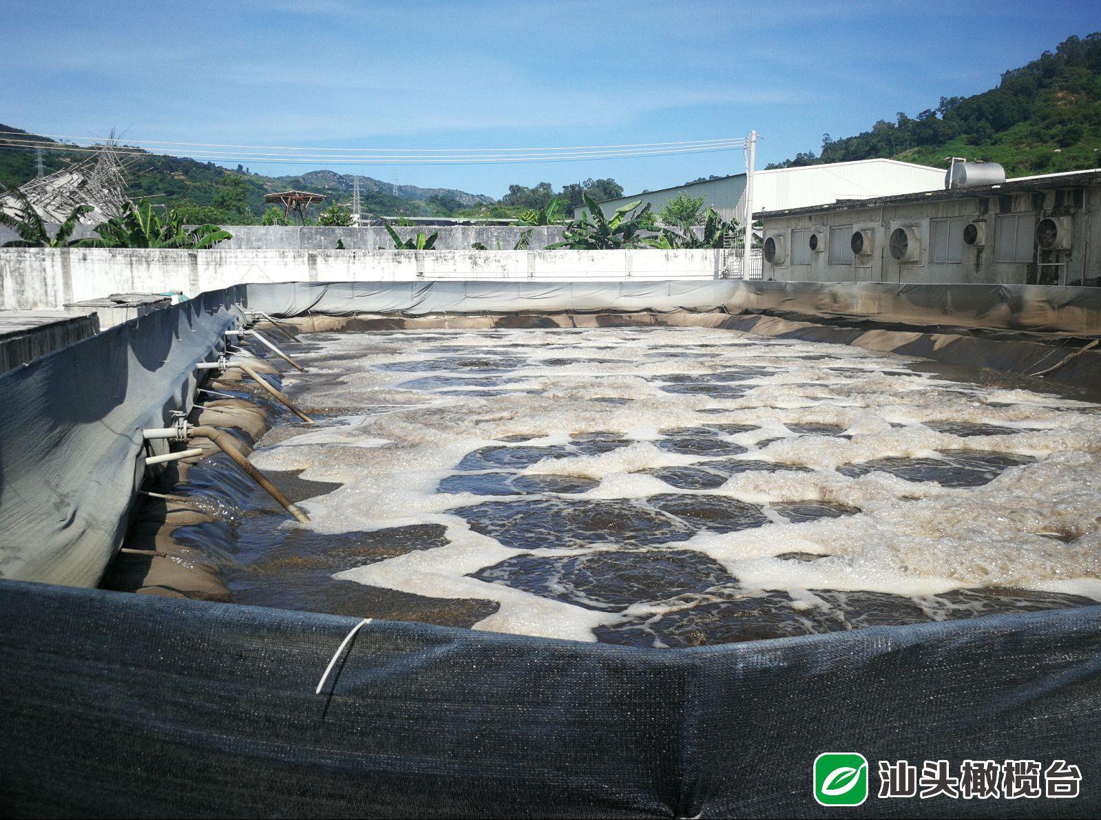 养猪设备最新革新