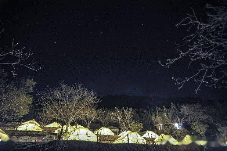王默默的自然探索之旅，追寻内心的平和与喜悦