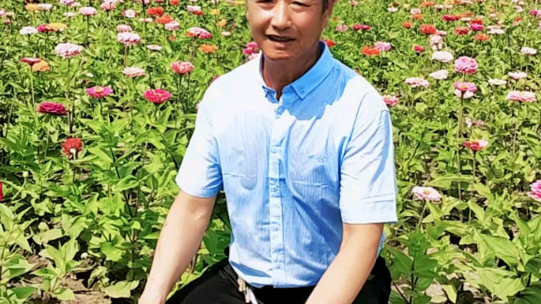 城市生活