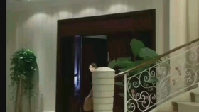 小巷神秘风味