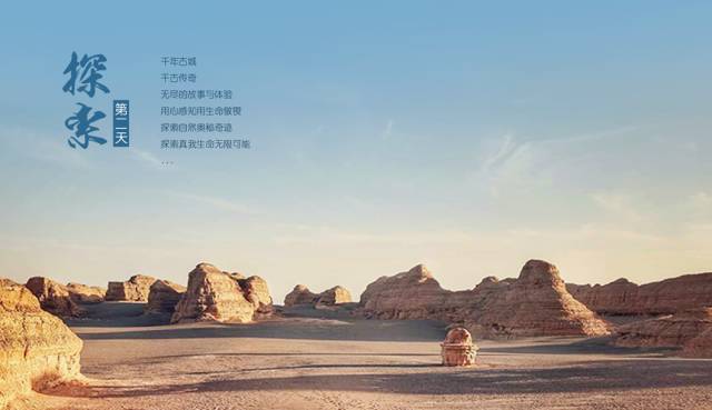 最新腐小说，自然之旅的心灵觉醒