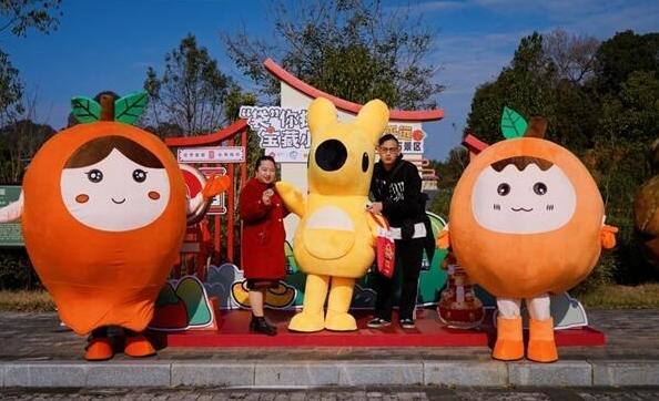 乐迪最新探索，自然美景之旅，追寻内心平和的乐园