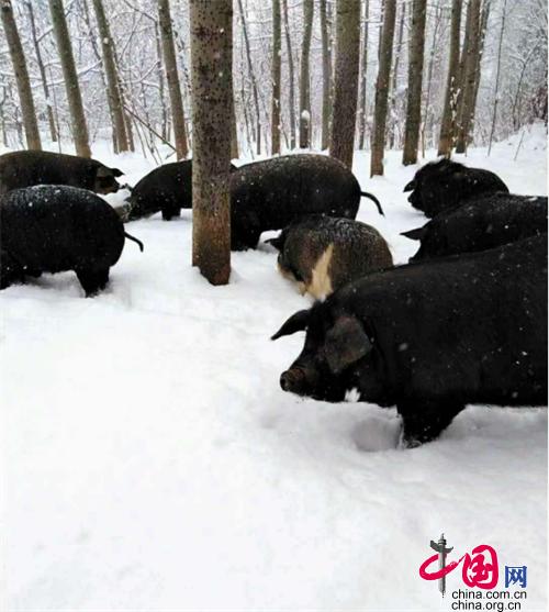 最新早操
