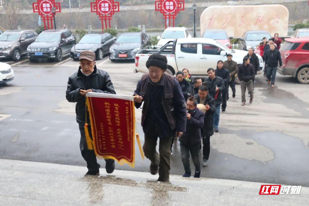 最新论述揭秘