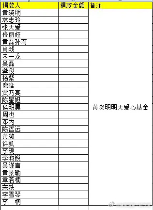 🌟最新捐赠统计概览✨